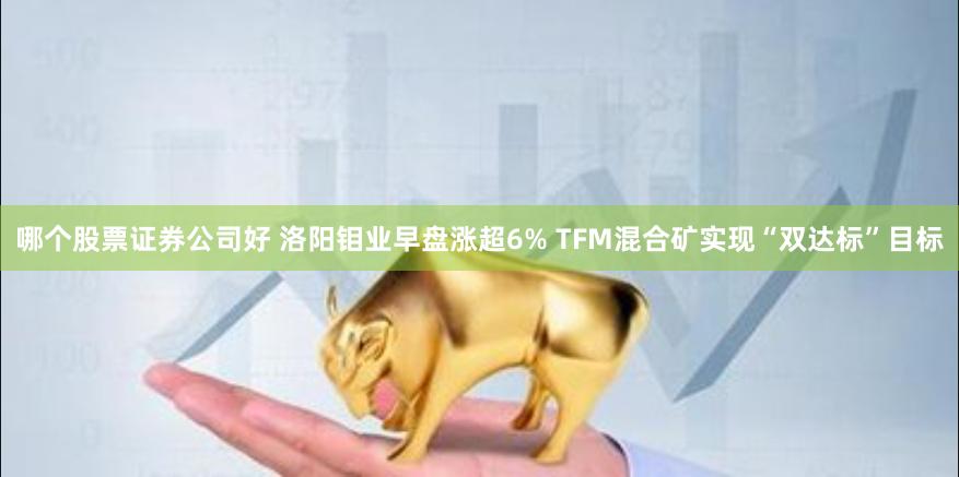 哪个股票证券公司好 洛阳钼业早盘涨超6% TFM混合矿实现“双达标”目标